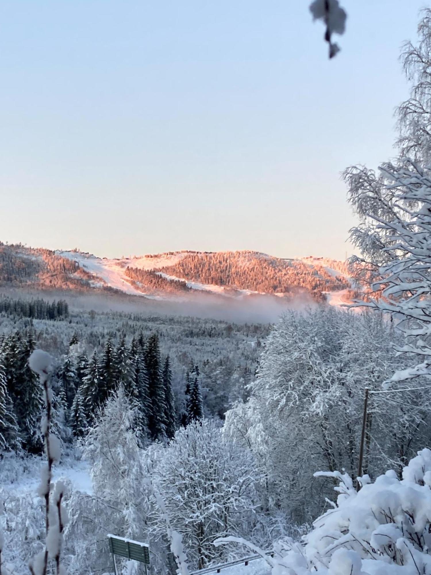 Charmig Villa Med Bastu Och Snabbt Wifi Långav Exterior photo